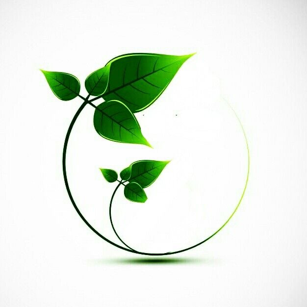 خریدپک ترک اعتیاد۶۰روزه کاملا موثر در انواع مواد (صنعتی وسنتی)تضمینی